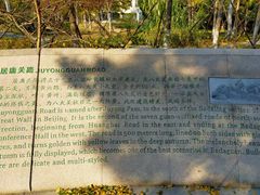-八大关景区