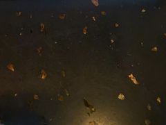 -新辣道鱼火锅(领展购物广场·中关村店)