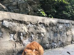 -北京上方山国家森林公园