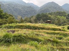 -石台牯牛降景区