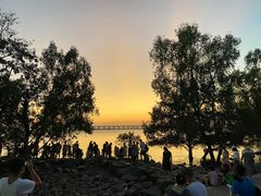 -宝安西湾红树林湿地公园