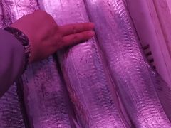 -大连熟食品交易中心