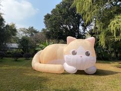 -广州兰圃