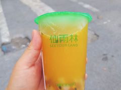 百香果双响炮-仙雨林·奶茶鲜果茶(书院巷店)