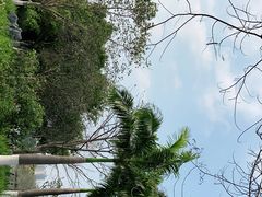 -海珠湖公园