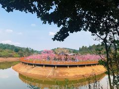 -田园寨农园观光园