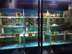 水产区-广州海鲜酒楼(长丰园店)