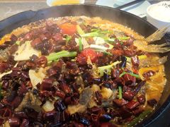 -老板恋上鱼(恒隆广场店)