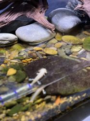 -Zoolung Zoolung动物主题公园(海信广场店)