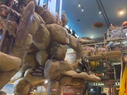 -卡通尼·Safari非洲探索乐园·生日会(金桥国际商业广场店)