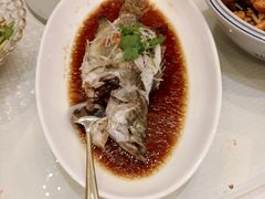 -双井轩(双井店)