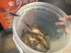 -粮心小农·大头虾亲子生态园(长发店)