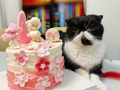-CAKE BOSS 蛋糕老板(北京世纪金源购物中心)