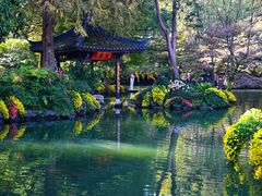 -杭州植物园