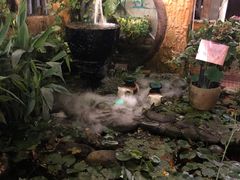 -园林美食城·本土农家菜(杨和镇店)