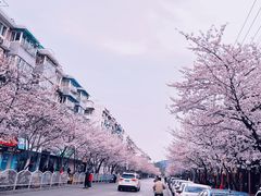 -永乐路-路侧停车场