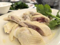 -红星光发煲仔饭(文海店)