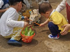 -前小桔亲子创意农场·草莓采摘·露营烧烤