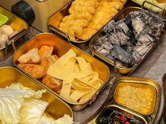 -Darling Queen·Mini·Live·House