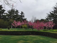 -棒棰岛宾馆景区