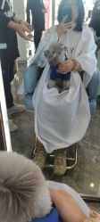 -MY WAY SALON