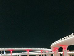 -演武大桥观景平台