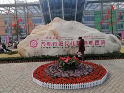 -成都市妇女儿童中心医院(中心院区)