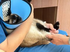 -爱派特动物医院·全科诊疗中心