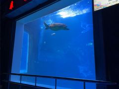 -太平洋海底世界