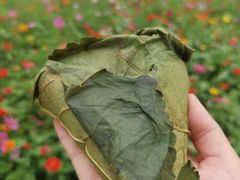 -叶婆婆豆浆馍馍