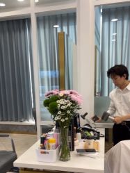 -YESIDO椰岛造型