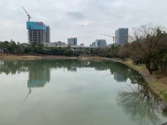 -美兰湖景区