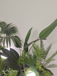 -HEYAN荷妍专业脱毛连锁机构