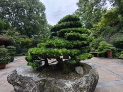 -南山植物园