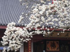 -杭州上天竺法喜讲寺