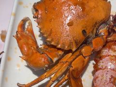 -蚝老板海鲜烧烤大排档(码头店)