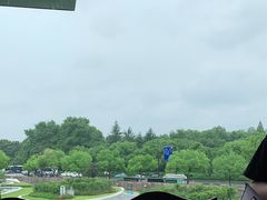 -青藤茶馆(凤起路店)