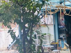 -喵屿·大理花园猫咖