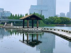 -桐乡凤凰湖