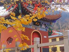 -遵化市禅林寺古银杏风景园