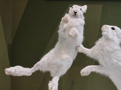 -国家自然博物馆