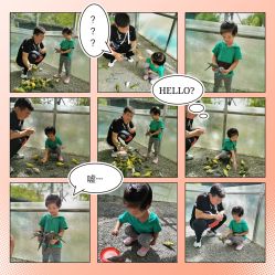 -萌宠亲子动物乐园(槐房万达店)