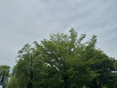 -牛岗山公园