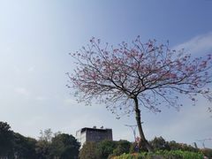 -九门寨石锅鱼烤鱼