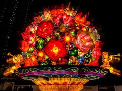 -锦江乐园舞狸花花游园会(夜场专享)