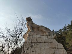 -帽儿山国家森林公园