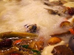 -草墩罗非鱼庄•野生菌•腊排骨(七星街上段店)