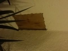 android_upload_pic-双廊碎片·吾乡海景度假公馆