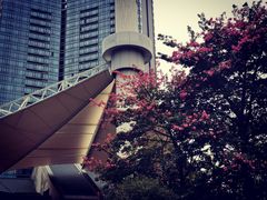 -珠海中海雅高铂尔曼酒店