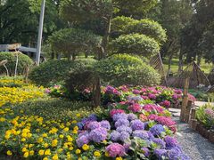 -广州市白云山风景名胜区